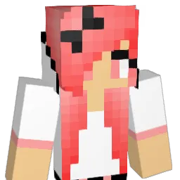 allice110 Minecraft avatar bust