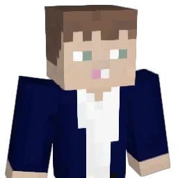 allin4u Minecraft avatar bust