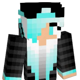 allycat144 Minecraft avatar bust