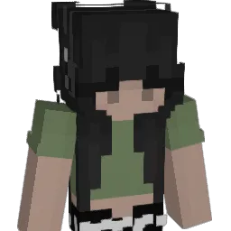 aloddlenoddle Minecraft avatar bust