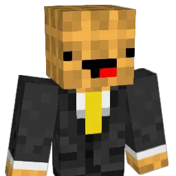 alonlon_what Minecraft avatar bust