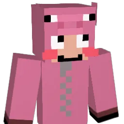 alsrnr0721 Minecraft avatar bust