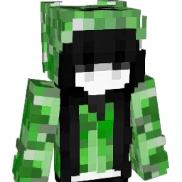 alswl04 Minecraft avatar bust