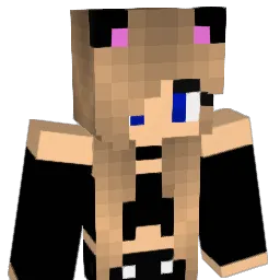 alwayssunny11 Minecraft avatar bust