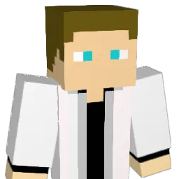 alx208 Minecraft avatar bust