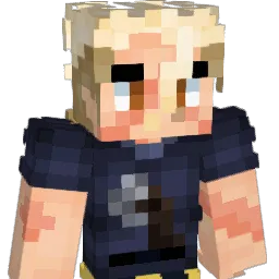 am0rph0 Minecraft avatar bust