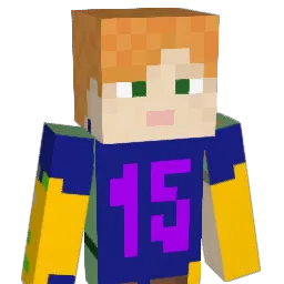 am6612 Minecraft avatar bust