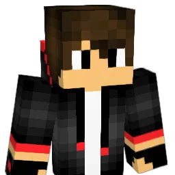 ambulance801 Minecraft avatar bust
