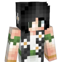 amdflip's Minecraft skin