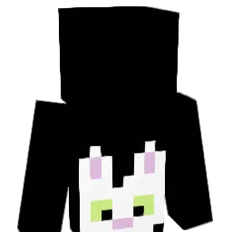 amiiiiiiii Minecraft avatar bust
