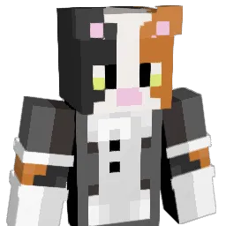 amim1r Minecraft avatar bust