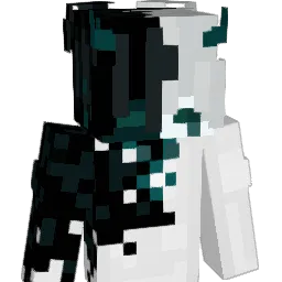 amir__9999 Minecraft avatar bust