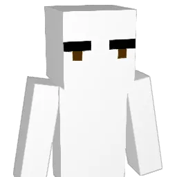 amirshah0 Minecraft avatar bust