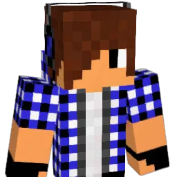 amitay123 Minecraft avatar bust