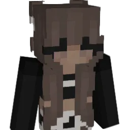 amli713 Minecraft avatar bust