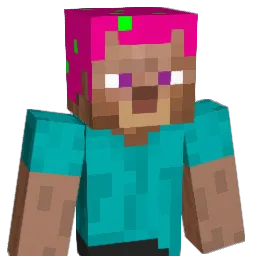 amoeba241 Minecraft avatar bust