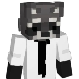 anab2121 Minecraft avatar bust