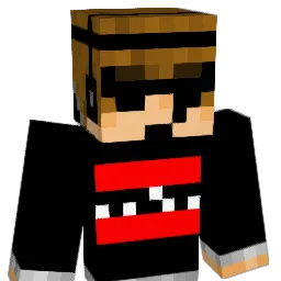 anakinsky2014 Minecraft avatar bust
