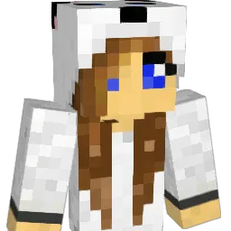 anaom15 Minecraft avatar bust
