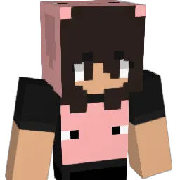 anathr119 Minecraft avatar bust
