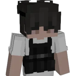 anbieten Minecraft avatar bust