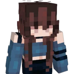 andapanda06 Minecraft avatar bust
