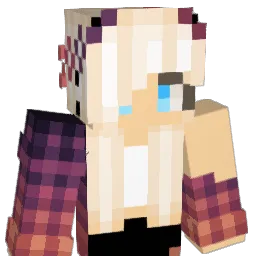 aniapajak5 Minecraft avatar bust