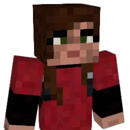 anin48 Minecraft avatar bust