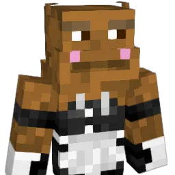 anishaii Minecraft avatar bust