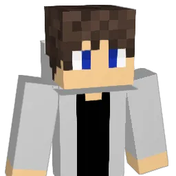 anisheragon Minecraft avatar bust