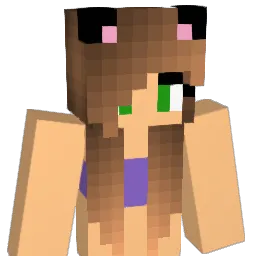 ankan123 Minecraft avatar bust
