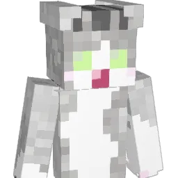 anko713 Minecraft avatar bust