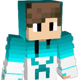 anles919 Minecraft avatar bust