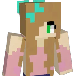 anmapi2000