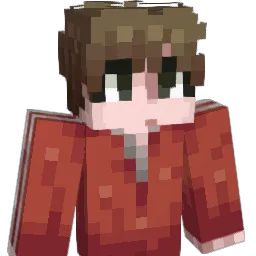 ann8969 Minecraft avatar bust