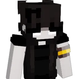 anomalee_ Minecraft avatar bust