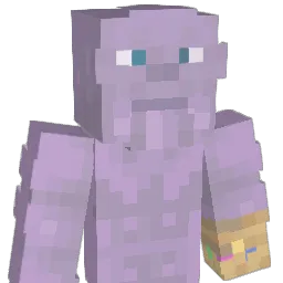 anon_ostrich Minecraft avatar bust