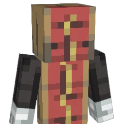 anonymous2983 Minecraft avatar bust