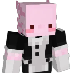 anork_ Minecraft avatar bust