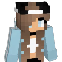 anp20 Minecraft avatar bust