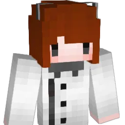 anp56744 Minecraft avatar bust