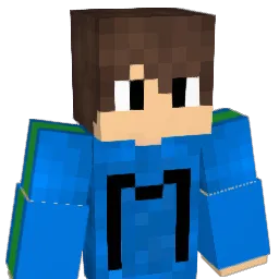 anrdh25 Minecraft avatar bust
