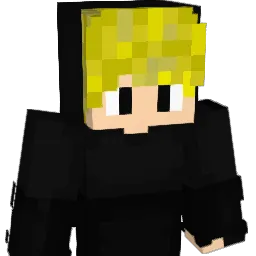 anris79 Minecraft avatar bust