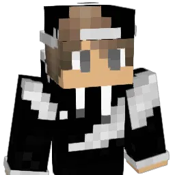 anson524 Minecraft avatar bust