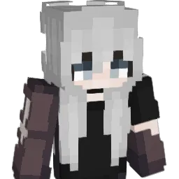 anson529's Minecraft skin