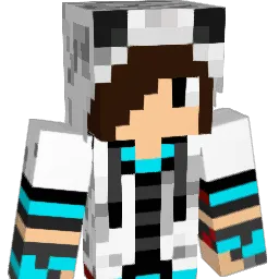 ansonpEq Minecraft avatar bust