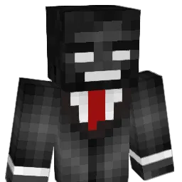 anthony11139 Minecraft avatar bust
