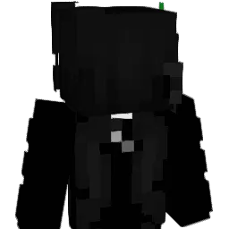 anwf Minecraft avatar bust