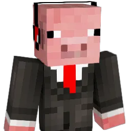 any9999 Minecraft avatar bust
