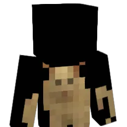 aoneee Minecraft avatar bust